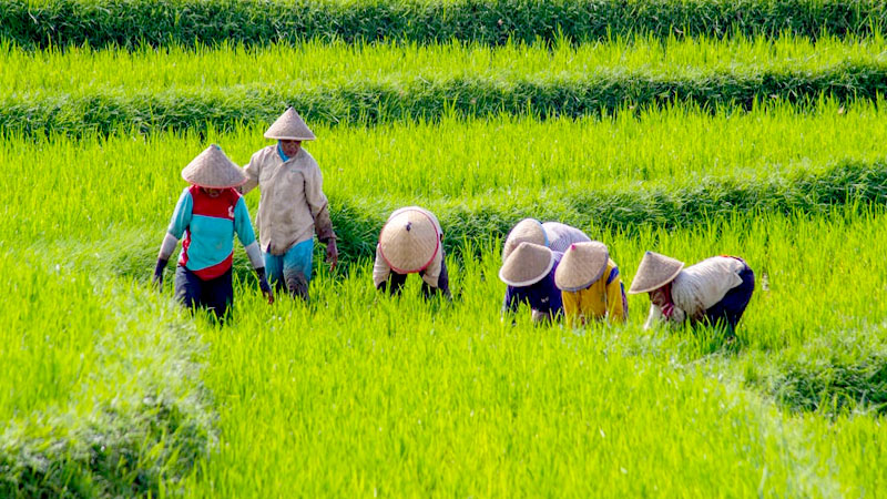 বছরের প্রথম দিনে পবা উপজেলার মৌগাছি উচ্চ বিদ্যালয়ে আনন্দঘন বই বিতরণ